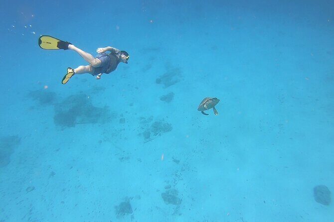 Snorkeling Gear Rental - Frederiksted Gear Rental: Getting on the Water Faster