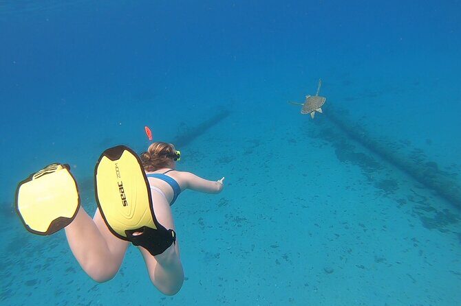 Snorkeling Gear Rental - Your 1–7 Day Plan: Use the Island Like You Mean It