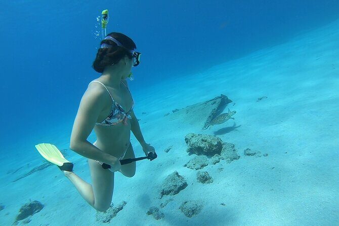 Snorkeling Gear Rental - Price and Value: What $75 Per Person Really Buys