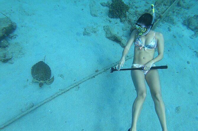 Snorkeling Gear Rental - Weather Matters: Planning Around Good Conditions