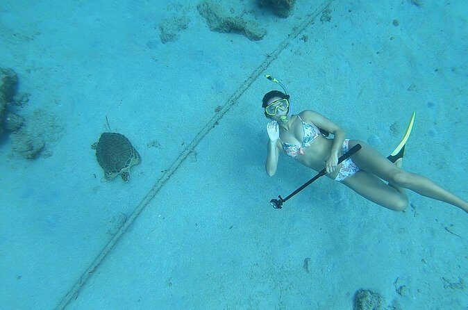 Snorkeling with Sea Turtles - All-Day Water Access: Kayaks, Paddle Boards, and Floating