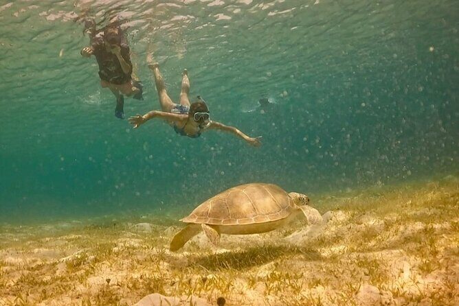St John -Jeep Ride with A Guide! Customize Itinerary Your Way! - Stop 3: Maho Bay for snorkeling, swimming, and included drinks