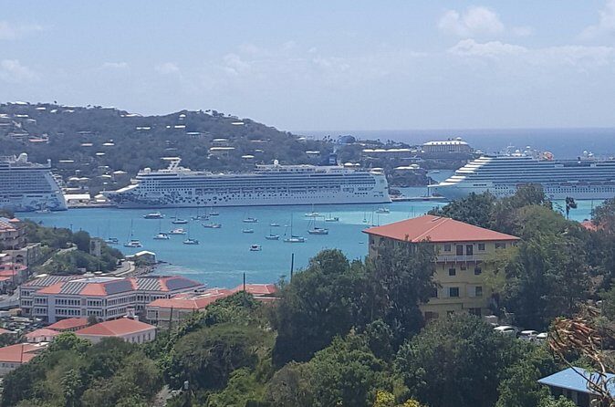 St Thomas Half Day Private Tour (1-10 ppl) - Coki Point Beach: the snorkeling stop with personality