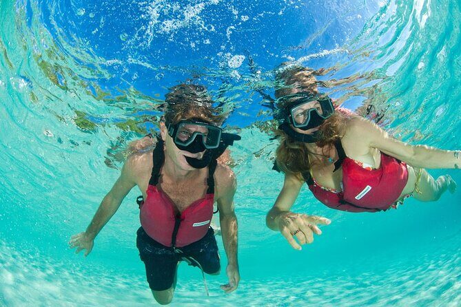 St Thomas Mangrove Lagoon Kayak and Snorkel Tour in the US Virgin Islands - Snorkeling around mangrove roots: clear water depends on the day