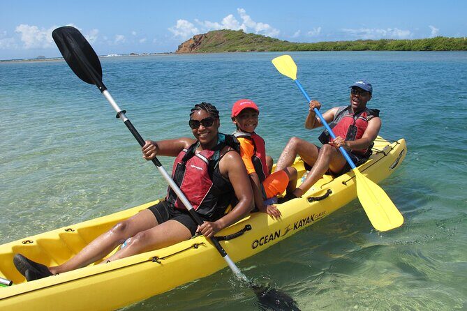 St Thomas Mangrove Lagoon Kayak and Snorkel Tour in the US Virgin Islands - Guides make it: the human touch behind the wildlife