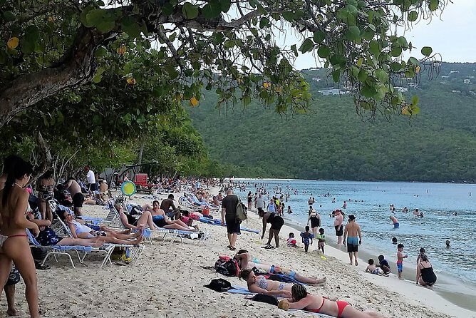 St Thomas Private and Customized Sightseeing Tour - Cruz Bay pickup at 7:00 AM: built for a smooth start