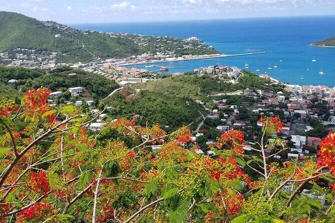 St. Thomas Shopping And Sightseeing Tour - Key highlights that make this excursion work