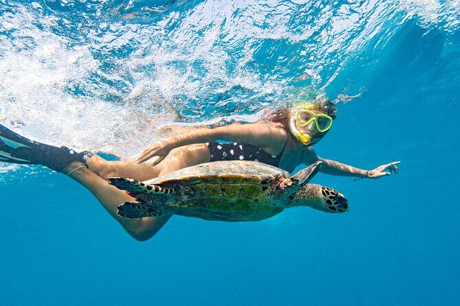 St Thomas Shore Excursion: Mangrove Lagoon Kayak and Snorkel Tour - Guides are the whole show: names you may hear on your tour