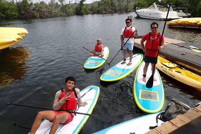 Stand Up Paddleboard Rental in St Thomas - The Best Part: Wildlife Watching From Offshore