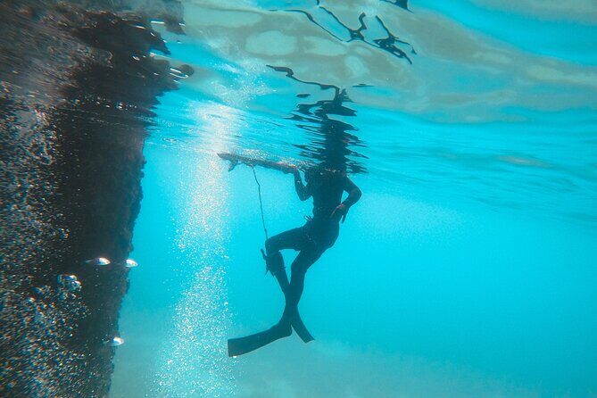 The Frederiksted St. Croix Sea Turtles Snorkeling Tour - Gear and What’s Included in the Price
