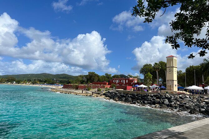 The Frederiksted St. Croix Sea Turtles Snorkeling Tour - Price and Value: Is $89 Worth One Hour 15 Minutes?