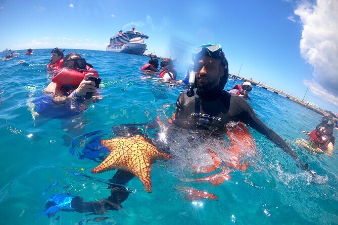 The Frederiksted St. Croix Sea Turtles Snorkeling Tour - What You’ll See Besides Turtles (And Why It’s Worth It)