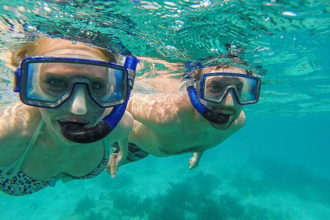 Turtle Snorkel Sail on Buck Island from Frenchman's Reef - Open bar on the return to Frenchman’s Reef (with real ID rules)
