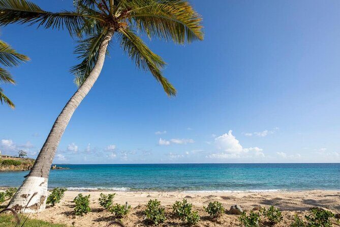 Vi Top Taxi & Tours -Airport Transfer to Bolongo Bay/ Limetree - Rain, Bags, and Busy Arrivals: How to Avoid the Common Pitfall