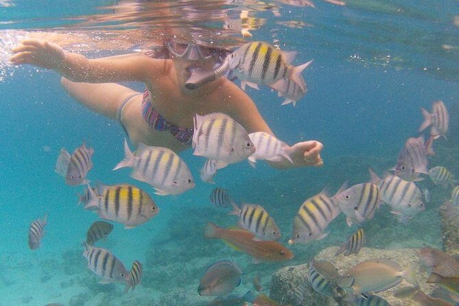 Vi Top Taxi &Tours USVI-Coki Beach Snorkeling Tour - The private taxi promise: what you really get for $68